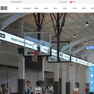 领先凯锐多功能体育器材网站